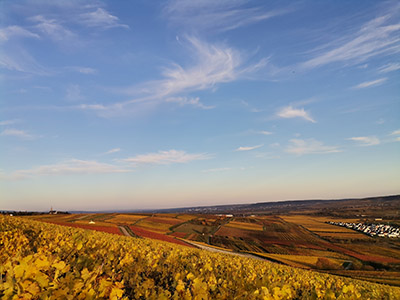 Panorama 1 - Herbst -